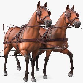 Pair of Breast Collar Harness Walking Pose 3D model